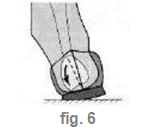 figuur 6
